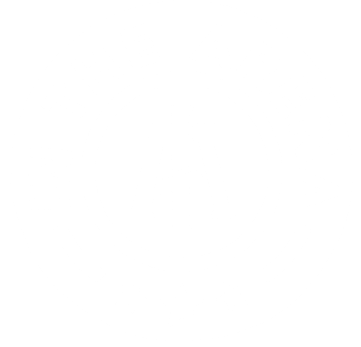 In the Arena